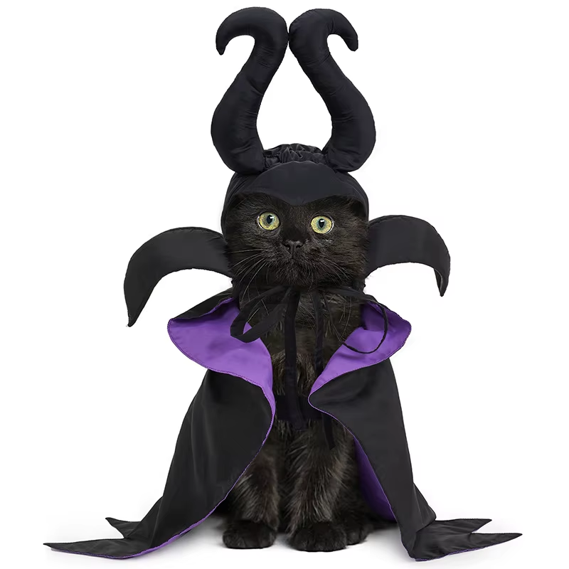 Enchanted Witch-Vampire Pet Costume