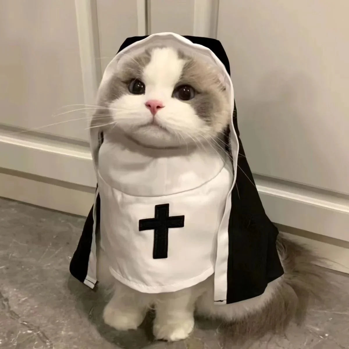 Holy Paws: Halloween Nun Costume for Cats and Dogs – Funny Pet Cosplay Outfit