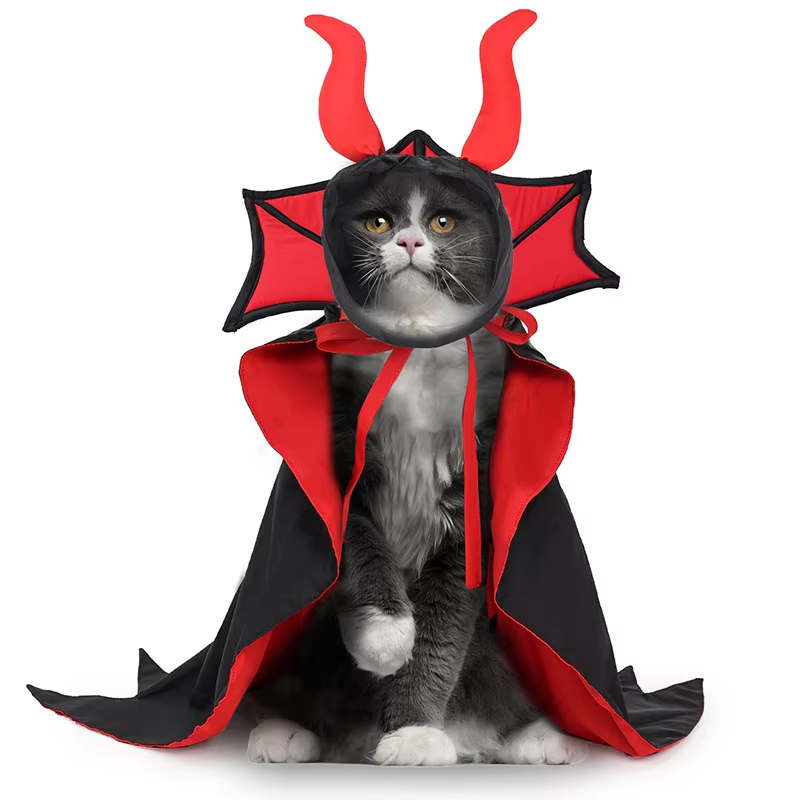 Enchanted Witch-Vampire Pet Costume