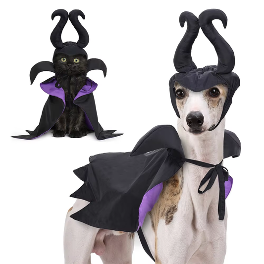 Enchanted Witch-Vampire Pet Costume